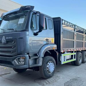 HOWO 6X4 NX CARGO TRUCK